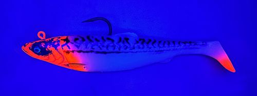 4D Herring Big Shad