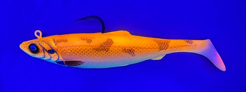 4D Herring Big Shad